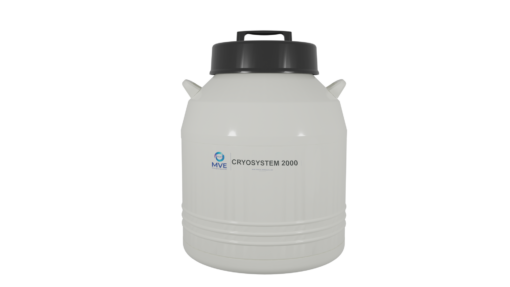 Cryosystem 2000